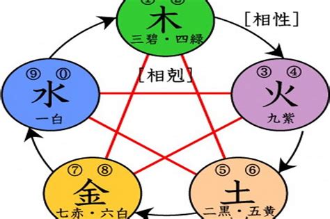 木 元素|探秘五行学说：木元素的意象与独特属性